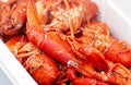 Close up of steamed Maine lobsters in a bin Royalty Free Stock Photo