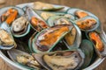 Close up steamed mussels