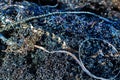 Close-up of steel shavings after processing parts on a lathe. Material recycling concepts