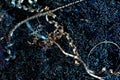 Close-up of steel shavings after processing parts on a lathe. Material recycling concepts