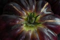 Close-up of a the stem of coeur de boeuf tomato (translation: beefsteak tomatoes Royalty Free Stock Photo