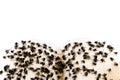 Top view close-up pile of housefly trapped on sticky paper tape isolated on white Royalty Free Stock Photo