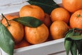 Close-up still-life composition with fresh picked tangerines with green leaves in white wooden box Royalty Free Stock Photo