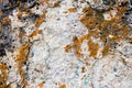 Close-up of stone covered by lichen Royalty Free Stock Photo