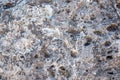 Close-up of stone covered by lichen Royalty Free Stock Photo