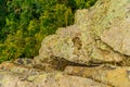 Close-up of stone covered by lichen Royalty Free Stock Photo