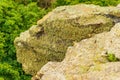 Close-up of stone covered by lichen Royalty Free Stock Photo