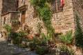 Close-up of stone house facade with bindweed in an alley at Les Arcs-sur-Argens Royalty Free Stock Photo