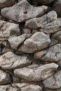 Close-up stone-like texture of palm tree bark. nature organic background, pattern Royalty Free Stock Photo