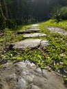 Close-up of the stone pathway under the sunlight, Stone Road, Slate Road.