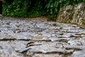 Close-up of stone road in the park Royalty Free Stock Photo
