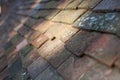 Close-up of stone roof