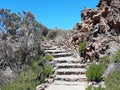 Close up of stone stairway in rock. Ancient stone steps in the rock. Stone wall with rustic stairs. Nature, paths and trails under Royalty Free Stock Photo