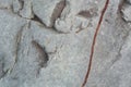 Close up stone surface showing texture in the rock