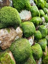 Moss-Covered Stone Wall. Generated AI Royalty Free Stock Photo