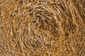 Close up of straw bale