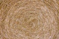 Close up of straw bale on farmland - Texture of straw