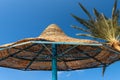 Closeup of a Straw Beach Umbrella on Clear Sky with a Palm Tree Royalty Free Stock Photo