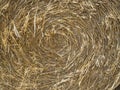 Close-up of straw texture. rolled up in a circle of hay. Concept of agriculture