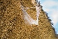 straw from thatched roof Royalty Free Stock Photo