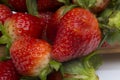 Close up strawberries Royalty Free Stock Photo
