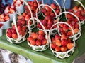 Close up of strawberry on the basket Royalty Free Stock Photo