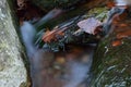 Close-up of a stream at long shutter speed