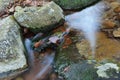 Close-up of a stream at long shutter speed