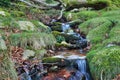 Close-up of a stream in the mountain slope Royalty Free Stock Photo