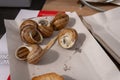 Close up street fast food take away portion of cooked escargot snails with French herbs and garlic butter and baguette bread Royalty Free Stock Photo