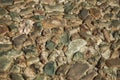 Close-up of street pavement made of rough stones at Caceres