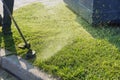 Close up on string trimmer head weed cutter brushcutter working in the yard cutting grass in garden Royalty Free Stock Photo