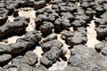 Stromatolites of Hamelin Pool in Shark Bay, Western Australia Royalty Free Stock Photo