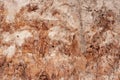Close-up of the structure of the soil layer in the section. Royalty Free Stock Photo