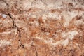 Close-up of the structure of the soil layer in the section. Royalty Free Stock Photo