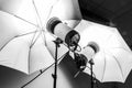 Studio light for photography Royalty Free Stock Photo