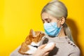 Close-up studio portrait of young girl, veterinar with red white cat in hands, wearing medical mask on yellow background. Look int