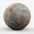 Close up of a whole coconut fruit tropical food ingredient on a bright white plain surface studio shot Royalty Free Stock Photo