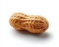 Single Peanut in Shell Isolated on White Background Studio Lighting Royalty Free Stock Photo