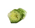 Close-up studio shot organic whole iceberg lettuce salad and a half cut isolated on white Royalty Free Stock Photo