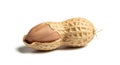 Detailed Macro Shot of a Peanut with Partially Open Shell on White Background Royalty Free Stock Photo