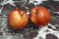 Studio shot and ready to eat red apples on background Royalty Free Stock Photo