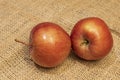 Studio shot and ready to eat red apples on background Royalty Free Stock Photo