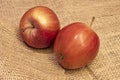 Studio shot and ready to eat red apples on background Royalty Free Stock Photo