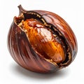 Close Up Studio Shot of a Roasted Chestnut on White Background Royalty Free Stock Photo