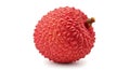 Single ripe red lychee fruit with textured skin isolated on white background Royalty Free Stock Photo