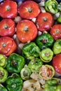 Close-up of stuffed peppers and tomatoes - greek gemista placed on an oven tray. Royalty Free Stock Photo