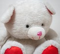 Close-up of a stuffed white bear.