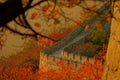 CLOSE UP: Stunning fall colored forest surrounds golden lit Great Wall of China Royalty Free Stock Photo