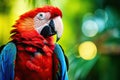 Vibrant Scarlet Macaw Parrot in Natural Habitat, AI Generated
